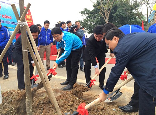 Hanoi Youth Union launches a tree planting festival - ảnh 1